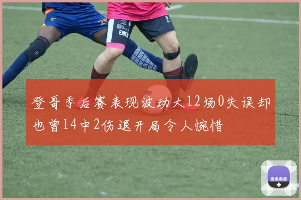 登哥季后赛表现波动大12场0失误却也曾14中2伤退开局令人惋惜